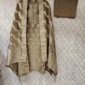banarasi tissue silk with zari and sequence work highlighting with french not on neck