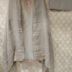 pure tissue organza suit with zari work