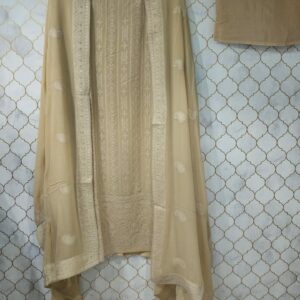 pure georgette lucknowi suit with sequence detailing