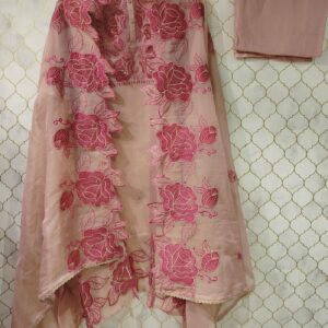pure tissue organza with thread embroidery on neck