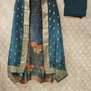 pure printed tissue suit with siroski and zari highlighting patch