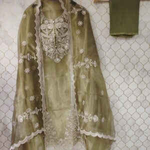 pure tissue suit with dori embroidery on neck