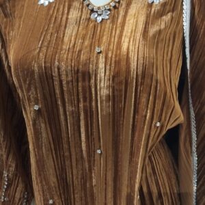 suit crush velvet wuth stone detailing on neck and buties on all and also in sleaves