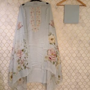 pure tissue georgette with thread work on neck line