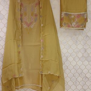 pure georgette tissue with thread work