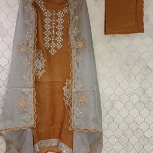 pure georgette tissue in front zari patch