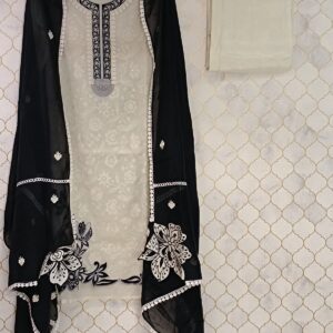 pure georgette tissue with chikankari work