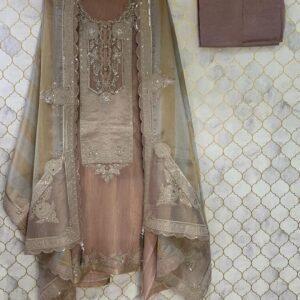 u1022 pure oraganza crush tissue with heavy cutdana and pearls thread detailing on neckline and applique patch flower
